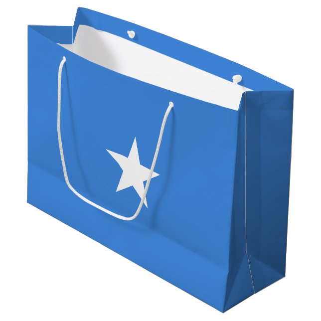 Bolsa De Regalo Grande Bandera de Somalia (Angulo Anverso)