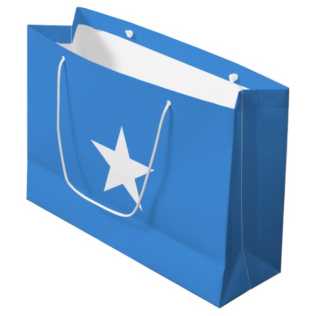 Bolsa De Regalo Grande Bandera de Somalia (Angulo Anverso)