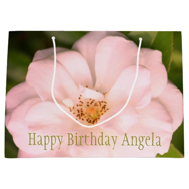 Bolsa De Regalo Grande Bloom Rosa Rosa Rosado Completo (Anverso)