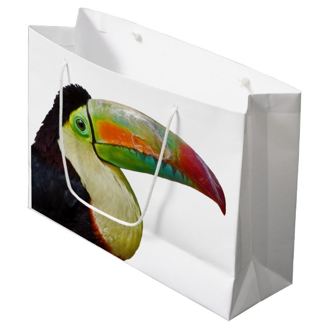 Bolsa De Regalo Grande Bolso Arco iris-Cargado en cuenta del regalo de (Angulo Anverso)