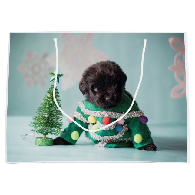 Bolsa De Regalo Grande Bolso del regalo del perrito del oso de Notta (Anverso)