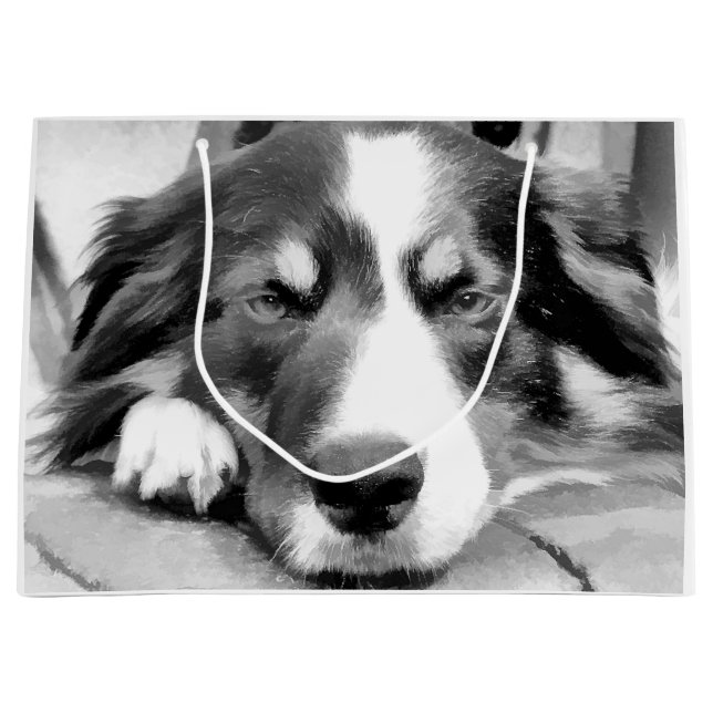 BOLSA DE REGALO GRANDE BORDER COLLIE (Anverso)