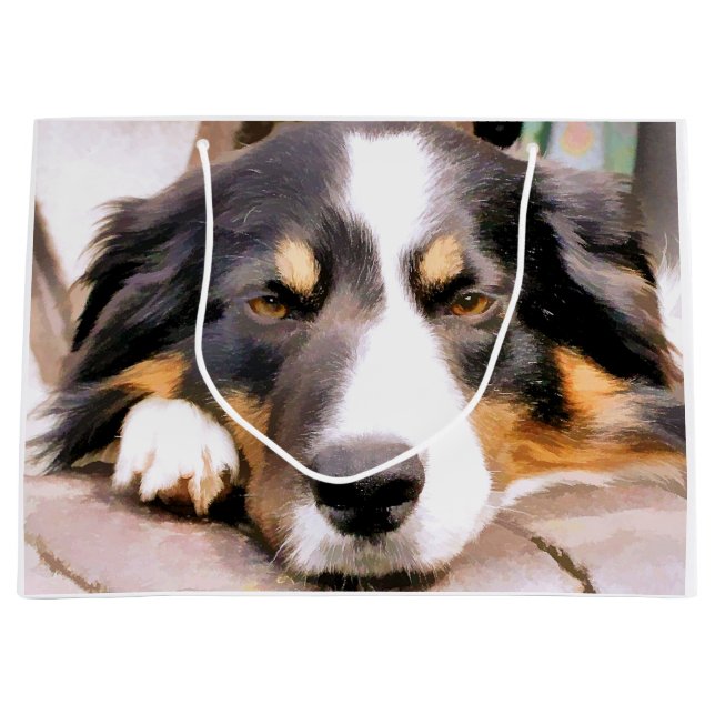 BOLSA DE REGALO GRANDE BORDER COLLIES (Anverso)