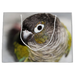 Bolsa De Regalo Grande Burbel