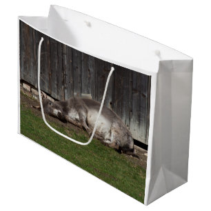 Bolsa De Regalo Grande Burro Adorable Descansando Después De Un Baño De A
