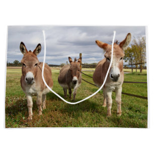 Bolsa De Regalo Grande Burro tres