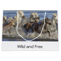 Caballos galopando en el agua