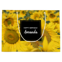Campo amarillo de girasoles, fotografía