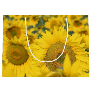 Bolsa De Regalo Grande Campo amarillo de girasoles, fotografía