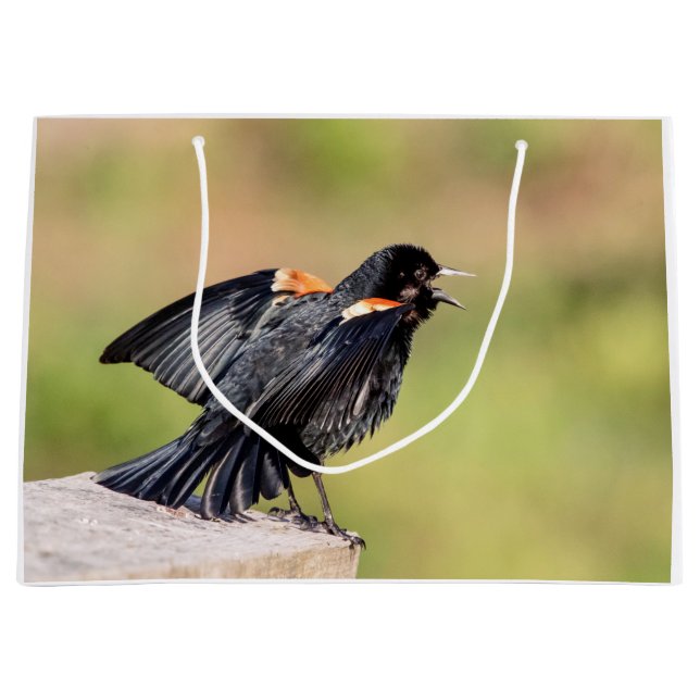 Bolsa De Regalo Grande Canto de Red Wingbird (Anverso)