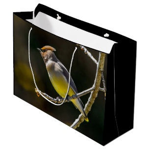 Bolsa De Regalo Grande Cedar Waxwing Songbird Foto original de ave silves