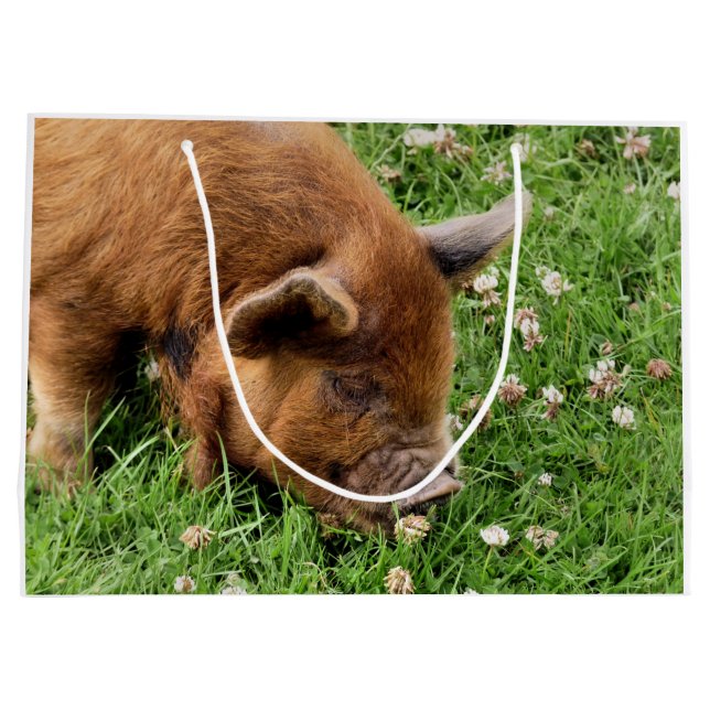 BOLSA DE REGALO GRANDE CERDO CUTIDO (Reverso)