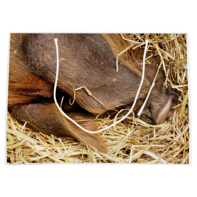 BOLSA DE REGALO GRANDE CERDOS (Anverso)