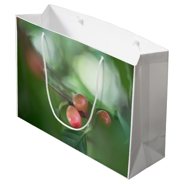Bolsa De Regalo Grande Coffee Cherries Card (Angulo reverso)