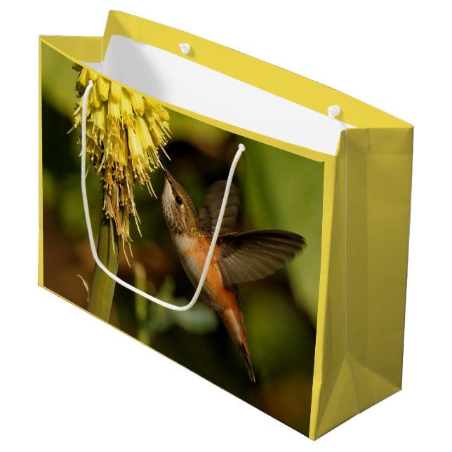 Bolsa De Regalo Grande Colibrí Rufous Sipeando El Néctar De La Kniphofia (Angulo Anverso)