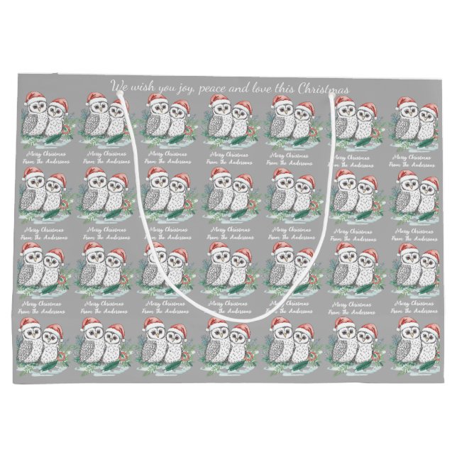 Bolsa De Regalo Grande Cosy Cute Owl Christmas Gift Bag (Reverso)