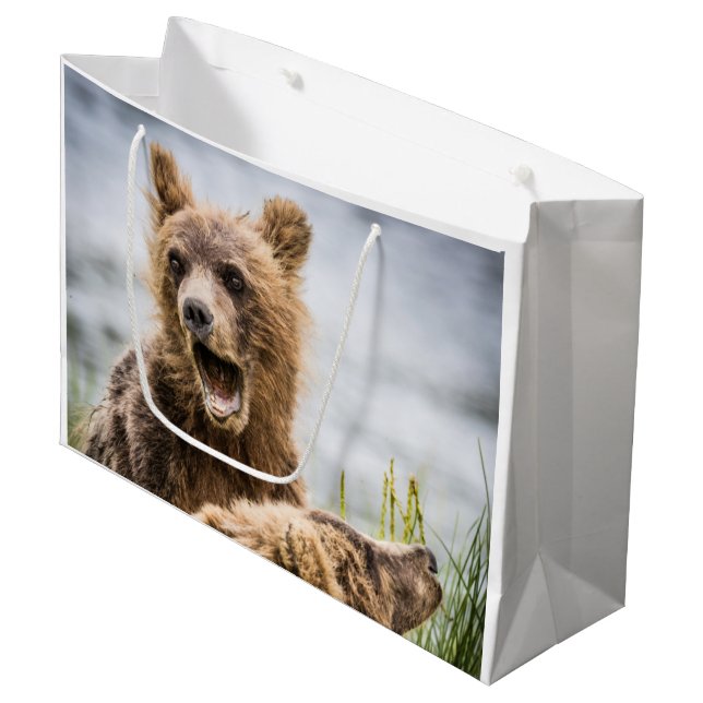 Bolsa De Regalo Grande Cubos Grizzly Buscando Su Mamá (Angulo Anverso)