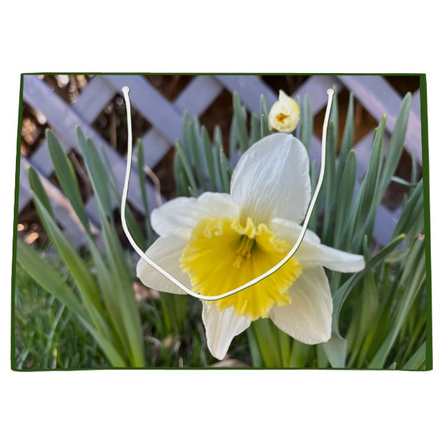 Bolsa De Regalo Grande Daffodils amarillos (Anverso)