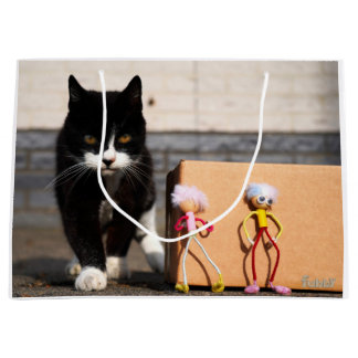 Bolsa De Regalo Grande De Fubby's verstoppen zich voor de kat Ping.