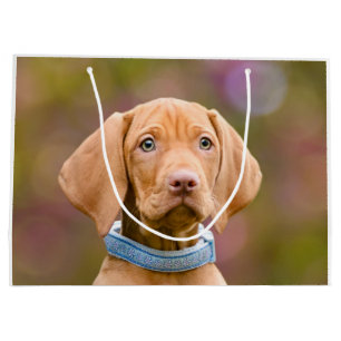 Bolsa De Regalo Grande Del húngaro de Vizsla del perro del perrito de la