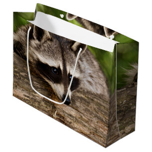 Bolsa De Regalo Grande Descanso de mapache en un registro