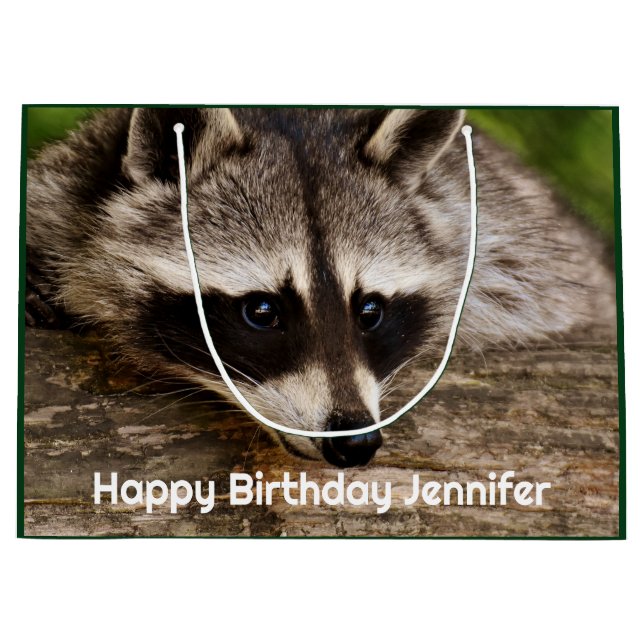 Bolsa De Regalo Grande Descanso de mapache en un registro (Anverso)