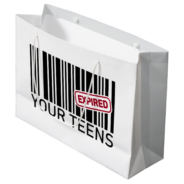 Bolsa De Regalo Grande Divertida fiesta de cumpleaños 20 (Angulo Anverso)