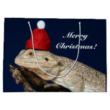 Dragon Lizard - Santa Hat