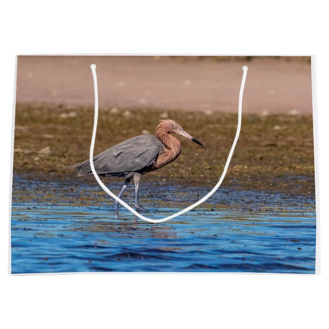 Bolsa De Regalo Grande Egret Reddish en North Beach (Anverso)