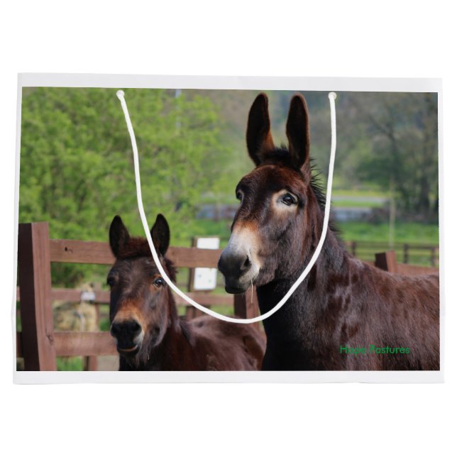 Bolsa De Regalo Grande El burro, el caballo y un regalo exclusivo de la (Reverso)