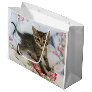 Bolsa De Regalo Grande El Gatito De Tabby Cuyo Asombro Parece