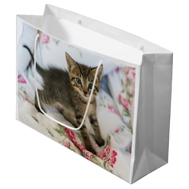 Bolsa De Regalo Grande El Gatito De Tabby Cuyo Asombro Parece (Angulo Anverso)