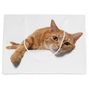 Bolsa De Regalo Grande El gato del naranja está tumbado
