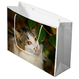 Bolsa De Regalo Grande El gato y la camelia