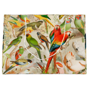 Bolsa De Regalo Grande Elegantes loros de aves tropicales de época