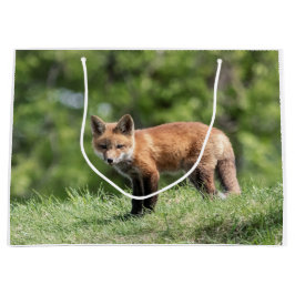 Bolsa De Regalo Grande Equipo del Fox rojo