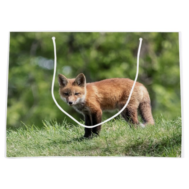 Bolsa De Regalo Grande Equipo del Fox rojo (Anverso)