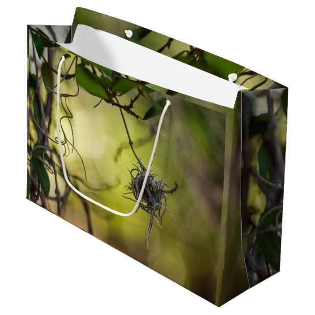 Bolsa De Regalo Grande Extraña planta (Angulo Anverso)