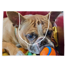 Bolsa De Regalo Grande Feliz cumpleaños Brindle Bostyon Terrier