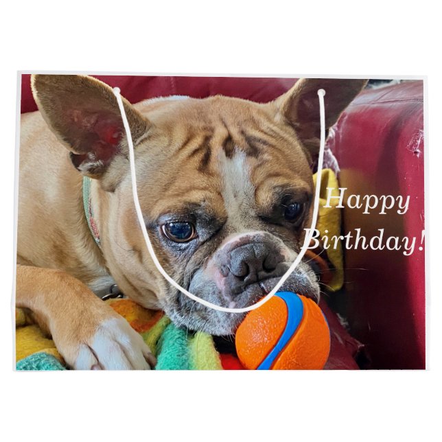 Bolsa De Regalo Grande Feliz cumpleaños Brindle Bostyon Terrier (Reverso)