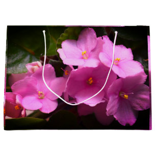 Bolsa De Regalo Grande Flores de violeta rosada africaine Saintpaulia