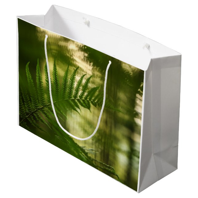 Bolsa De Regalo Grande Foto de Fern Nature (Angulo reverso)