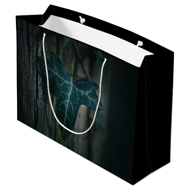 Bolsa De Regalo Grande Foto de Ivy Nature (Angulo reverso)