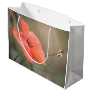 Bolsa De Regalo Grande Foto de la naturaleza de la amapola
