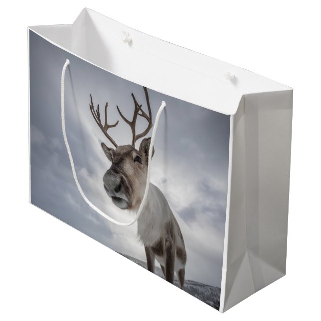 Bolsa De Regalo Grande Foto de la naturaleza de los renos (Angulo Anverso)