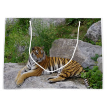 Foto de retrato de un tigre siberiano