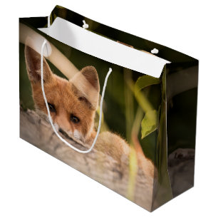 Bolsa De Regalo Grande Foto de un Pequeño Naranja Fox