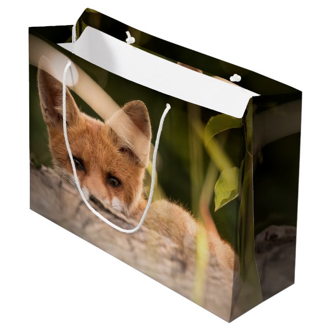 Bolsa De Regalo Grande Foto de un Pequeño Naranja Fox (Angulo Anverso)