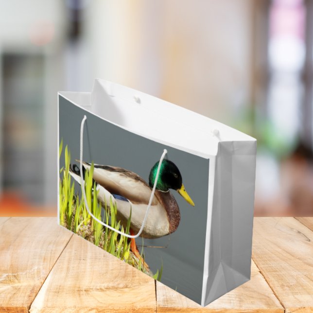 Bolsa De Regalo Grande Foto de vida silvestre Mallard Duck (In Situ)