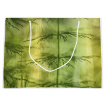 Foto Floral de la naturaleza